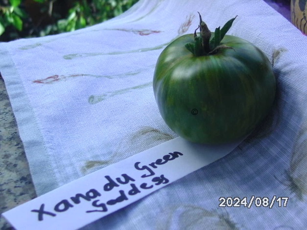 [Bild: BILD0339.jpg]