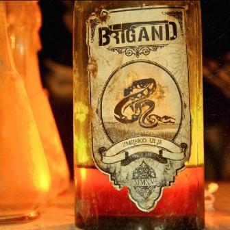 [Slika: Brigand-Zmijsko-Ulje-folder.jpg]