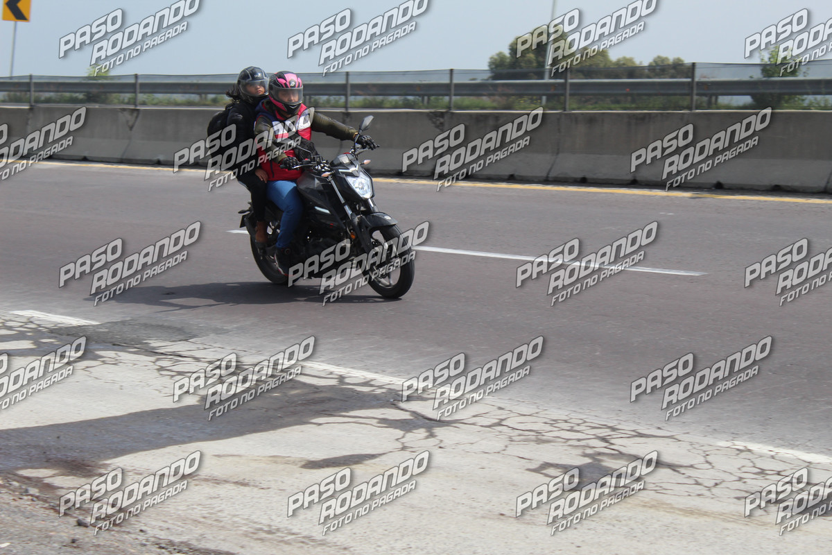 IMG 1622 wm 2304515 5 watermarked — Postimages