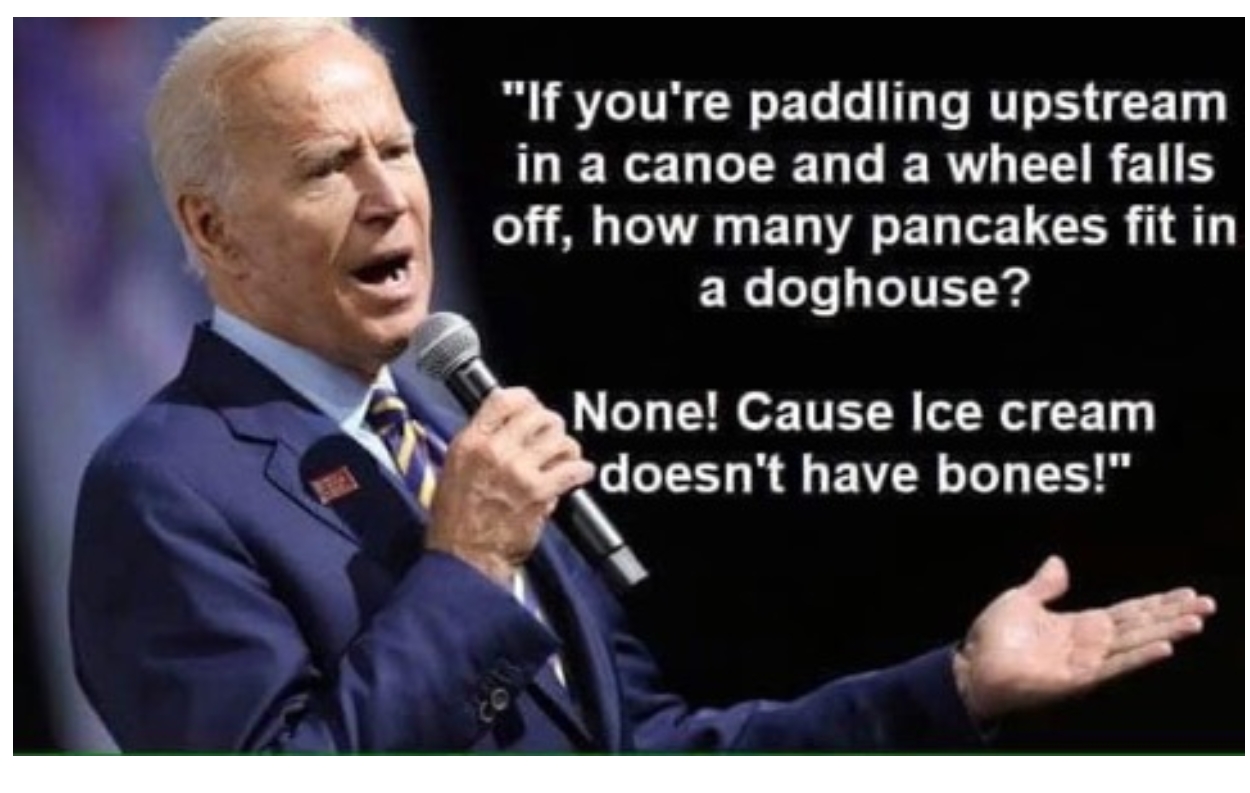 Joe Biden Illogic