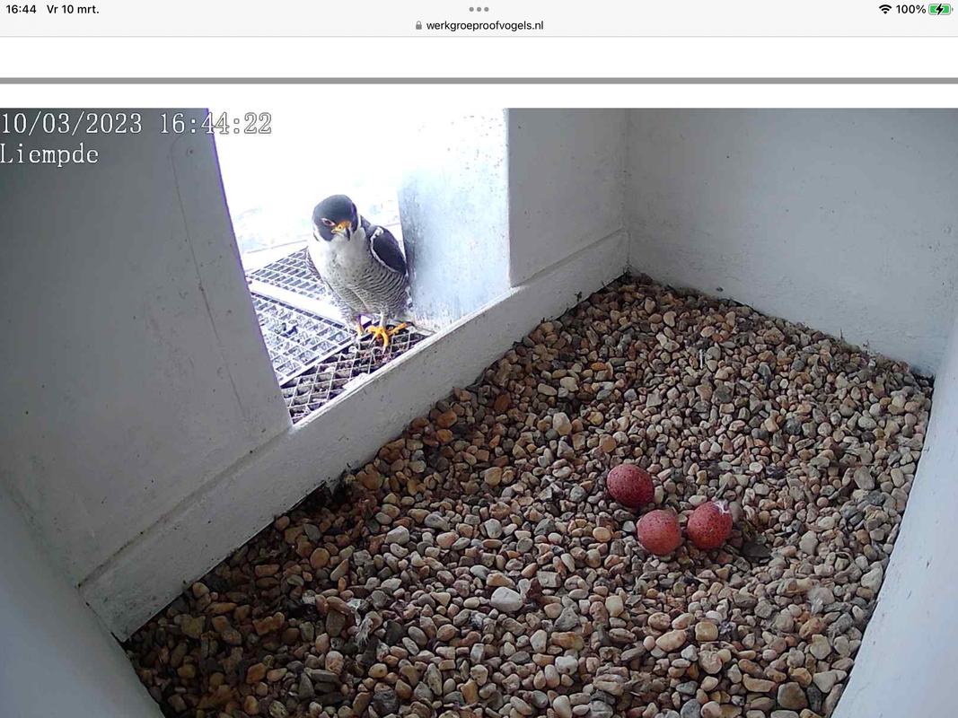 B21CE4D2-7C1C-4C99-AF93-00CF72D714CA