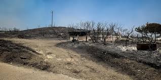 ΕΡΩΤΗΣΗ ΒΕΛΟΠΟΥΛΟΥ ΣΤΗ ΒΟΥΛΗ ΓΙΑ ΑΜΕΣΗ ΧΡΗΜΑΤΟΔΟΤΗΣΗ ΚΤΗΝΟΤΡΟΦΩΝ ΧΙΟΥ — ΤΙ ΑΠΑΝΤΑ Ο ΕΛΓΑ