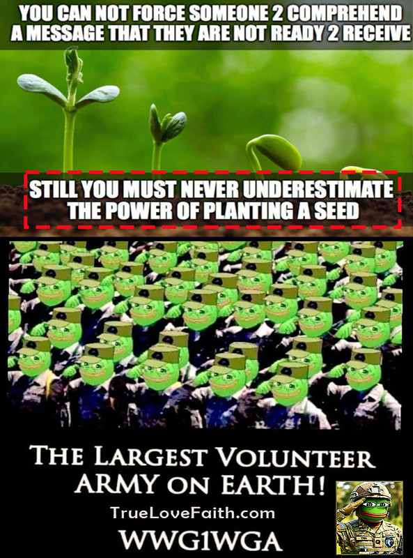 Frog Army Seed