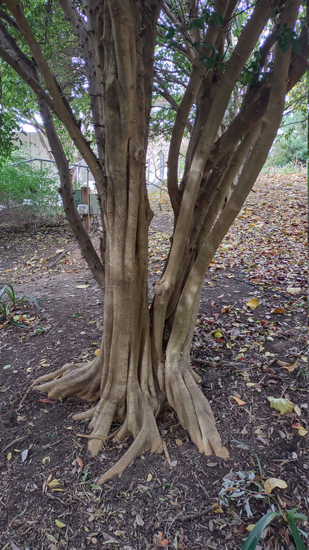 IMG 20251113 144029503 HDR