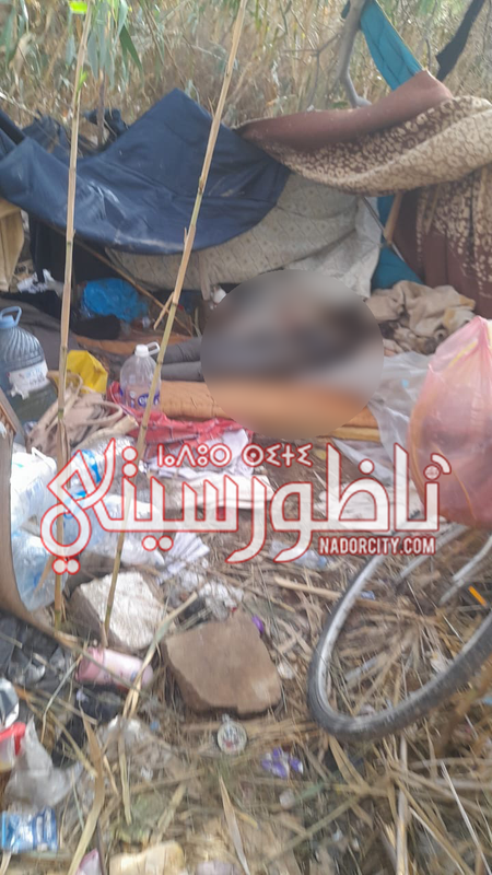 a26a8379-40c4-4ce2-ac5e-fc487d589eac