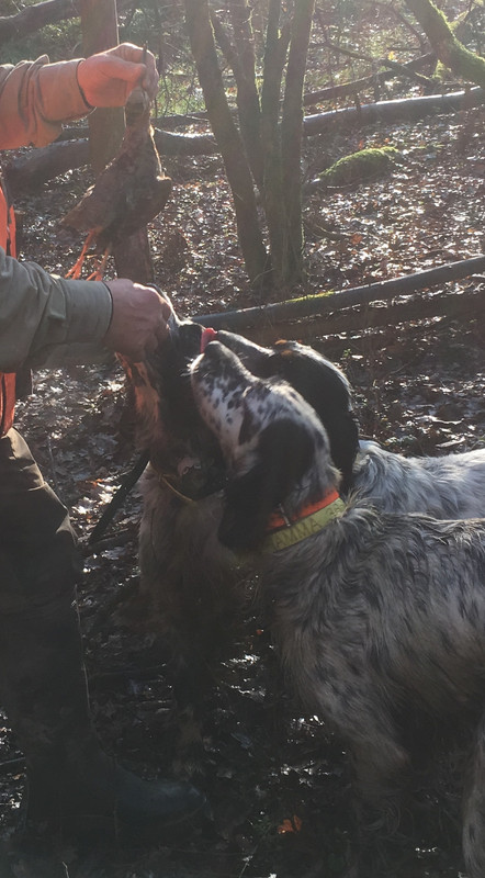 F261FFCC-98C3-4186-81B1-D90707F6AC4D