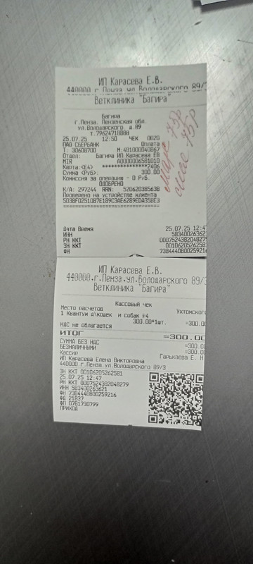 Марс Леся чек 25.07.2025 квантум 150,00