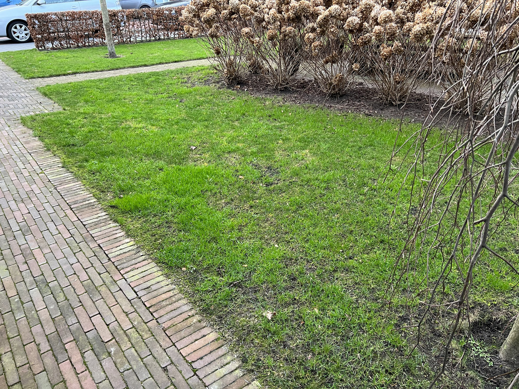 63D730A1-00D4-40FB-892C-C90670397DF3