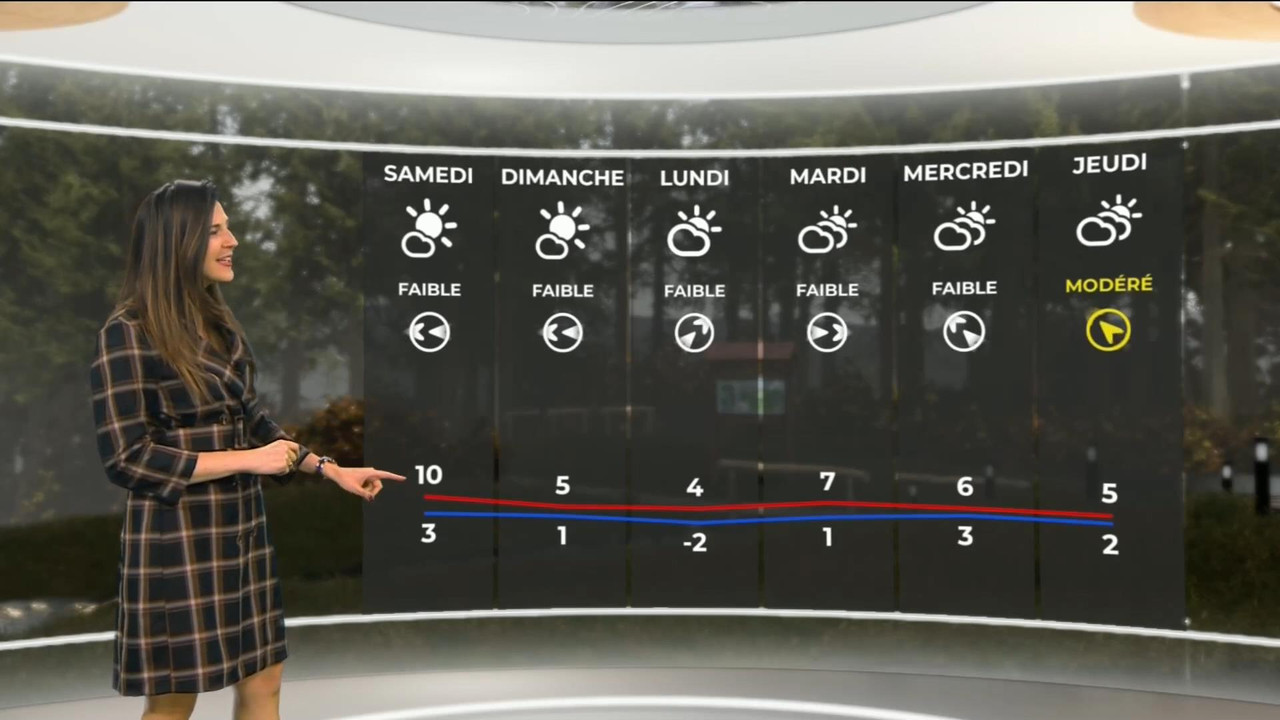 Daniela Prepeliuc 261120.mp4_snapshot_02.01_[2020.11.26_17.24.03]