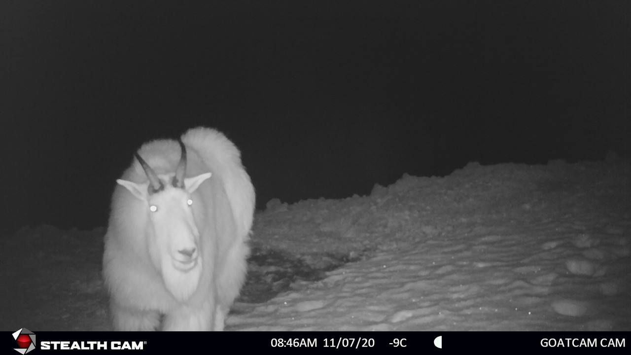 FD36424B-F258-409B-92A3-621BEFAB1845