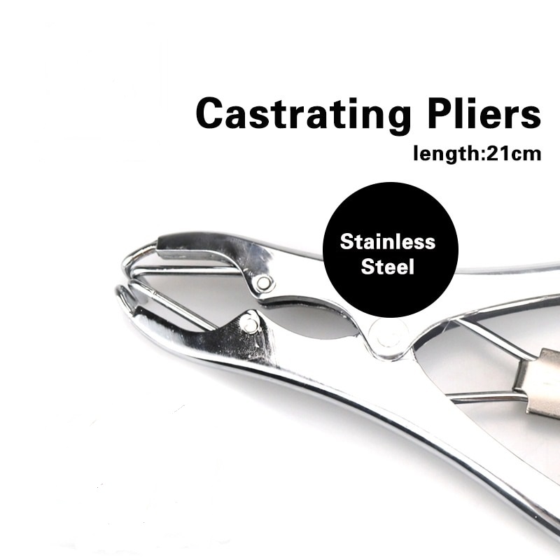 castrating-pliers.jpg