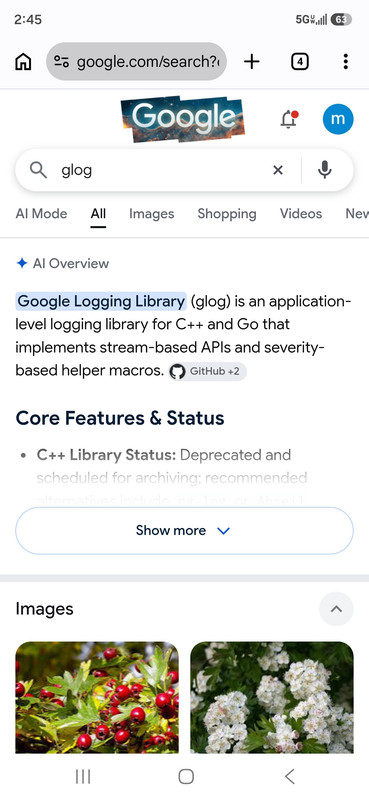 Screenshot 20261008 144545 Chrome