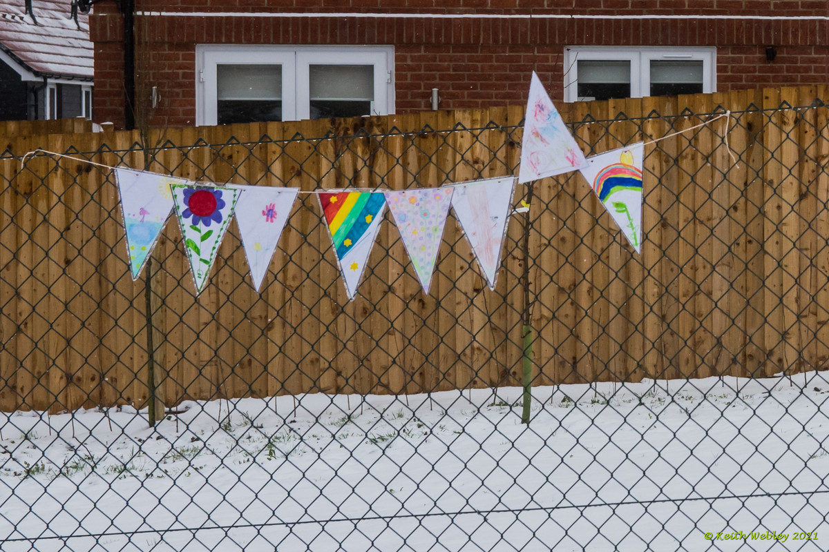 Bunting 1