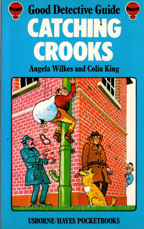 Good Detective Guide Catching Crooks
