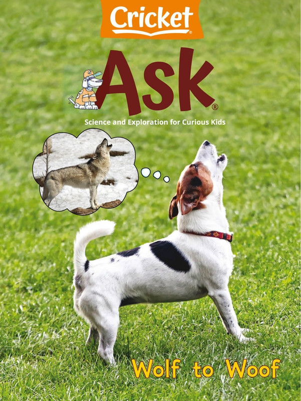 Ask Science and Arts Magazine for Kids and Children - February 2024