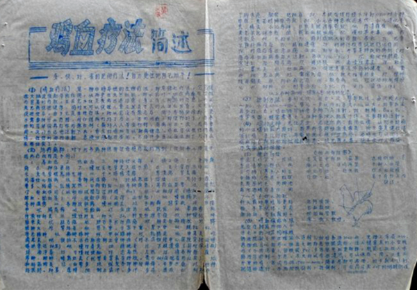 鸡血疗法简述