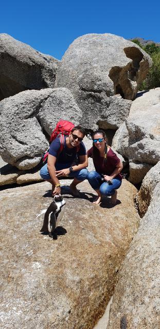 DÍA 3: PENINSULA DEL CABO - Sudáfrica y Seychelles 2018 - Una Honeymoon llena de vida (12)