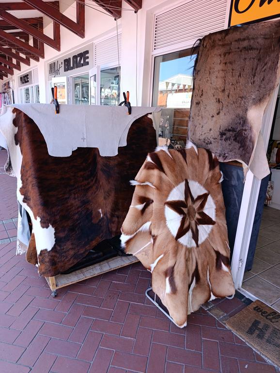 Такая близкая Африка. (ЮАР. 22 дня и 4200 км. Ноябрь-Декабрь)