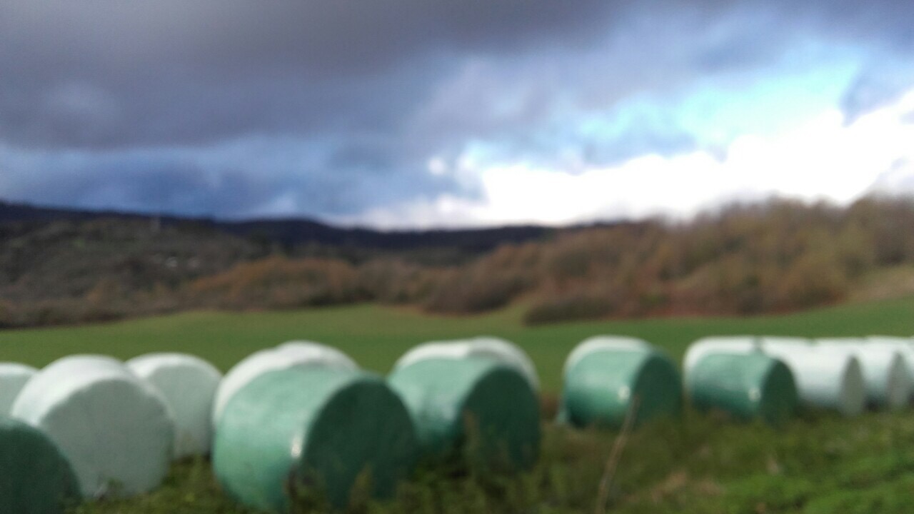 187B28B3-9606-4935-8299-CF38DA43EB3B