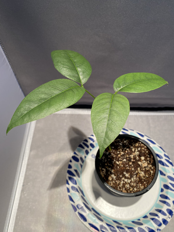 82F65FA5-BB01-4583-AB45-26DACCD4C0DD