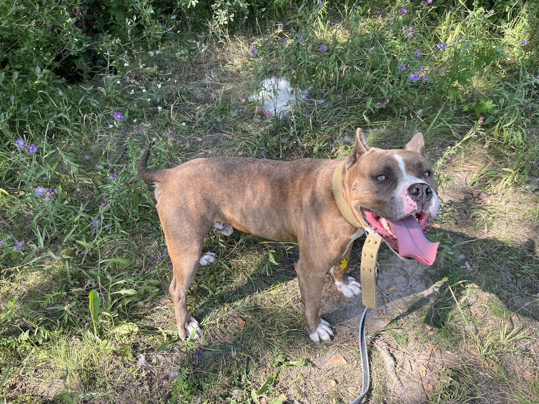 01C97A0A-226C-4521-949F-7B592B04FE6C