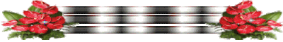 171955281-Jytf-C5-B.gif