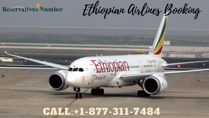 Ethiopian Airlines Booking (3)