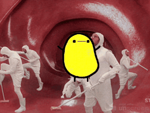 [Image: dancing-poato-unscreen.gif]
