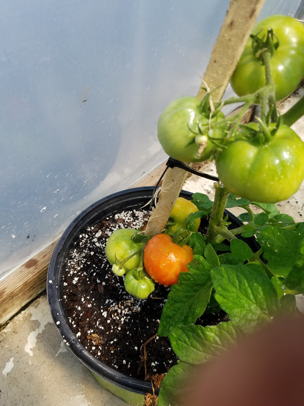 20190607_141558