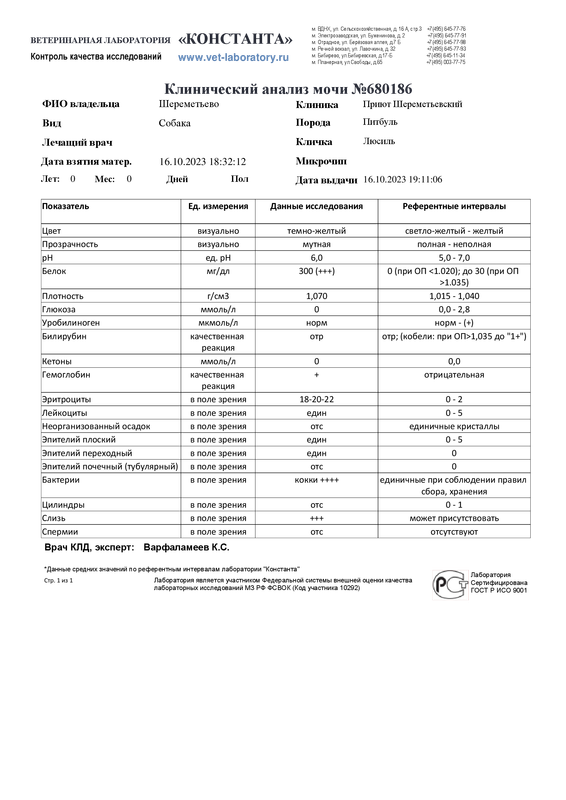 Клинический анализ мочи (680186)