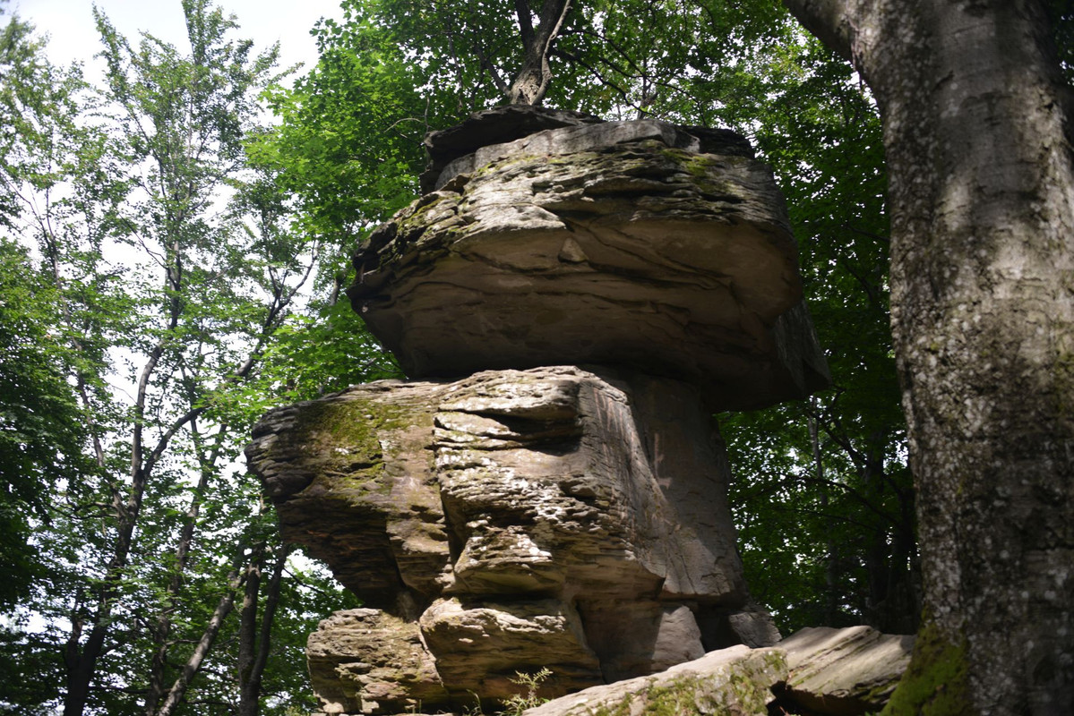 DSC-3408.jpg