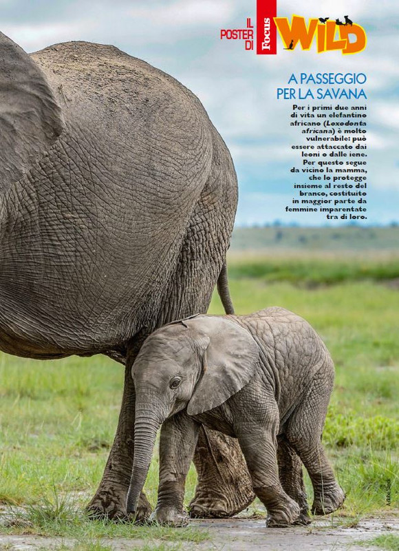 Foc Wil - Giu 2024 (10)