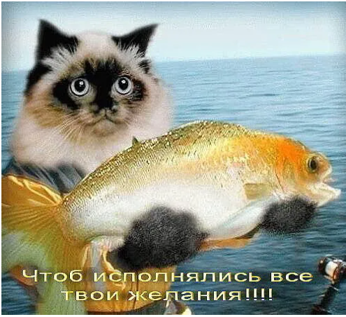 https://i.postimg.cc/GhW9kPHY/image.png