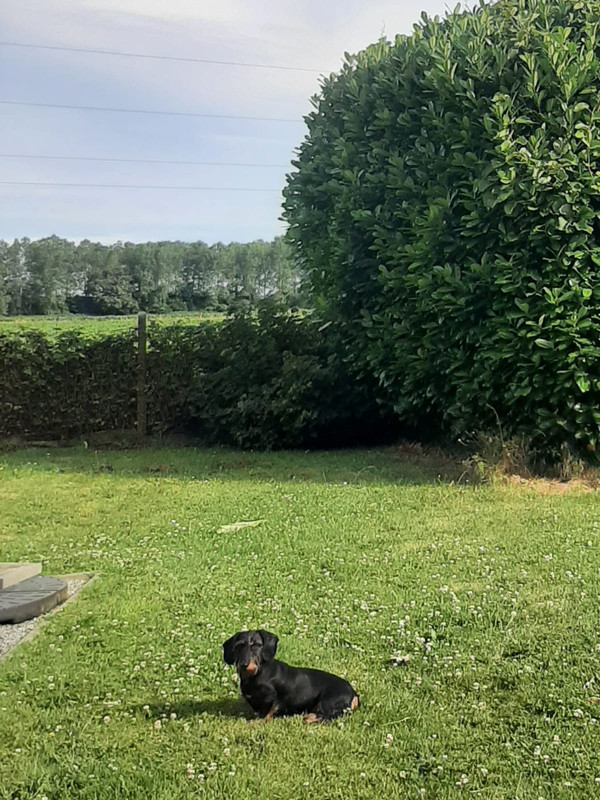 [Image: IMG-20240709-WA0003.jpg]