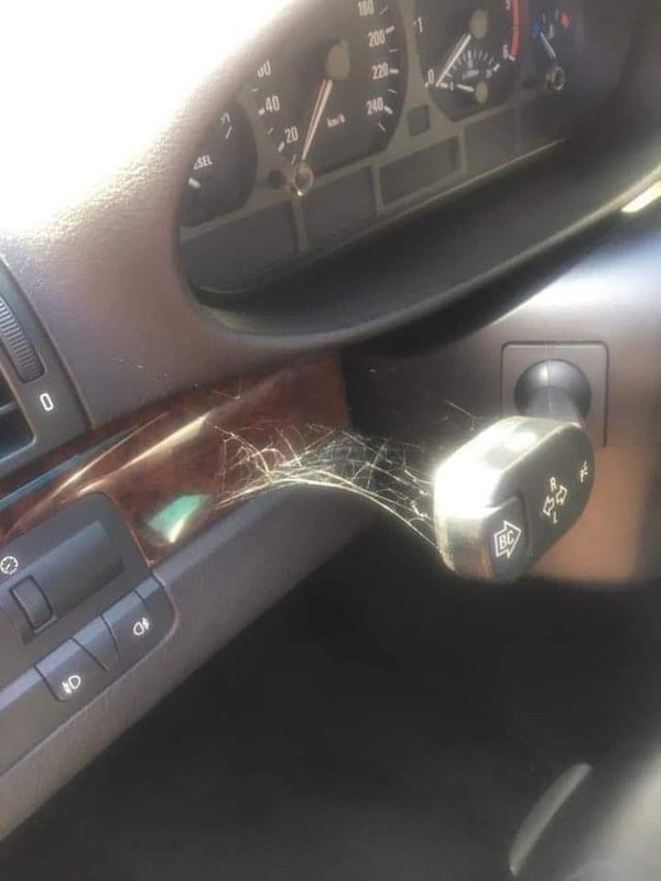 72015AF8-7303-4420-80B2-17872C8B6622