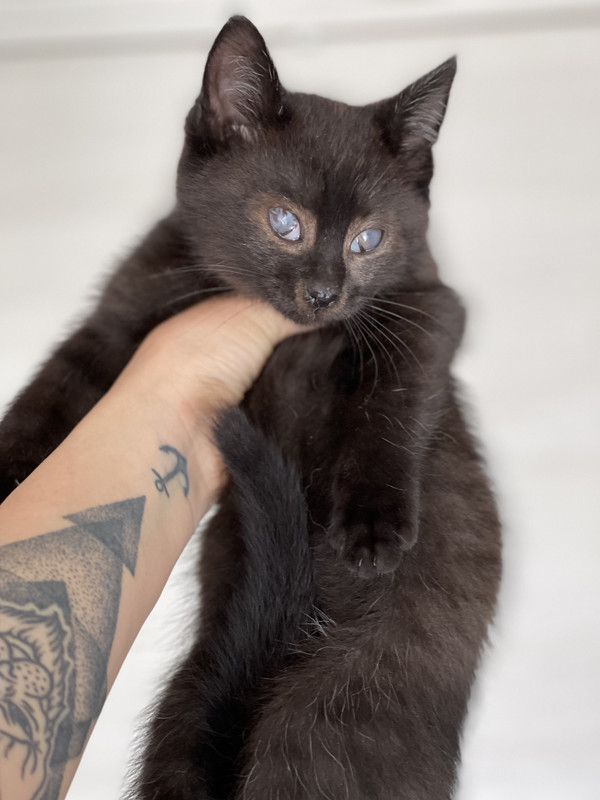 751BA94C-576B-4613-9940-AA4B0FE7CCF5