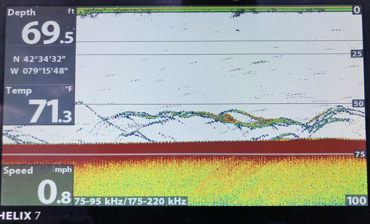 FE703D36-7261-4627-91D9-4DF0FF6B5DCC