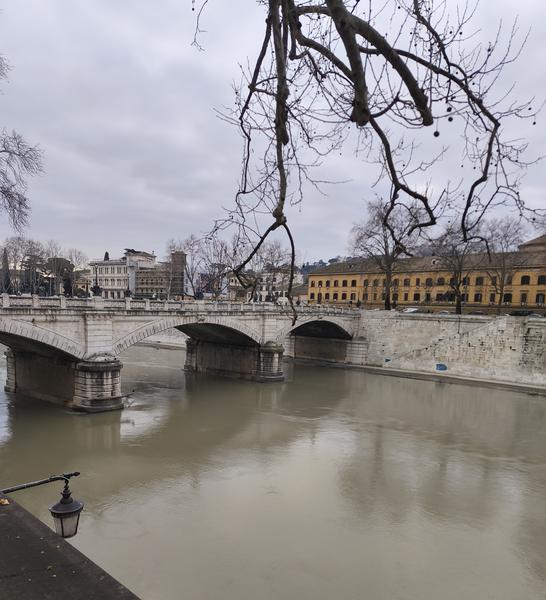 Roma: Villa Farnesina, Bernini&Barberini, Detroit Museum - Roma y Nápoles: Bernini, Giorgione y mucho más. (30)