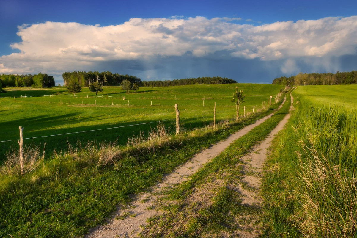 green-spring-walk.jpg