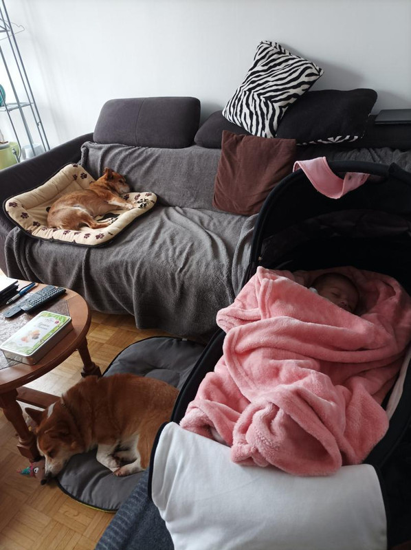 [Image: 9-A000583-7508-4412-B141-143-BB0-D7577-B.jpg]