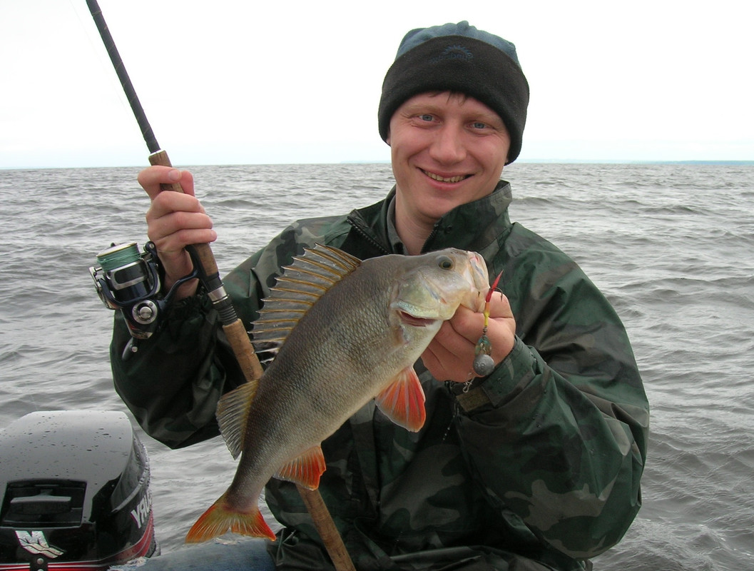 2 1 Хэви Окунь джиг спиннинг рыбалка  блесна воблер катушка  судак щука окунь таймень мастер-класс К