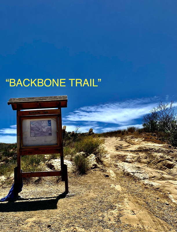 DC450C3F-54DF-4DB1-8442-E7F3068AA90C