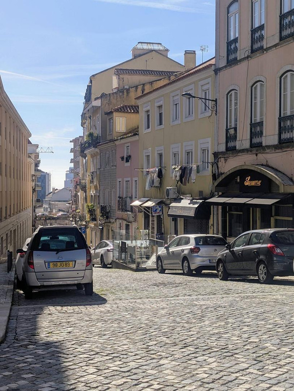 641296444 25529355373430759 2195789781500052421 n