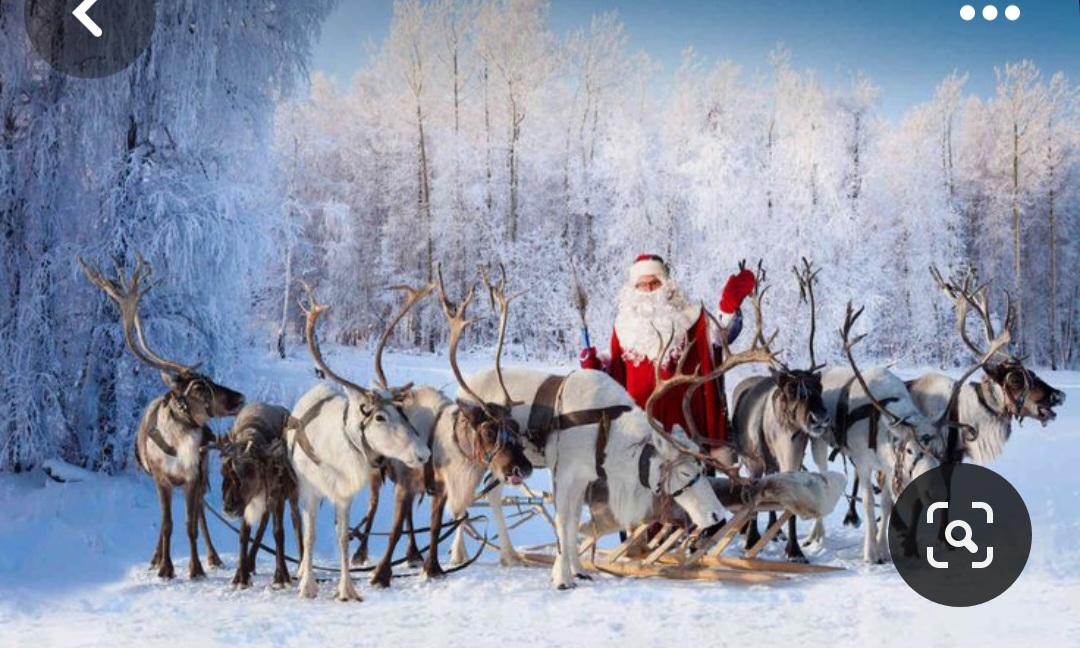 Screenshot_20231124_220841_Pinterest