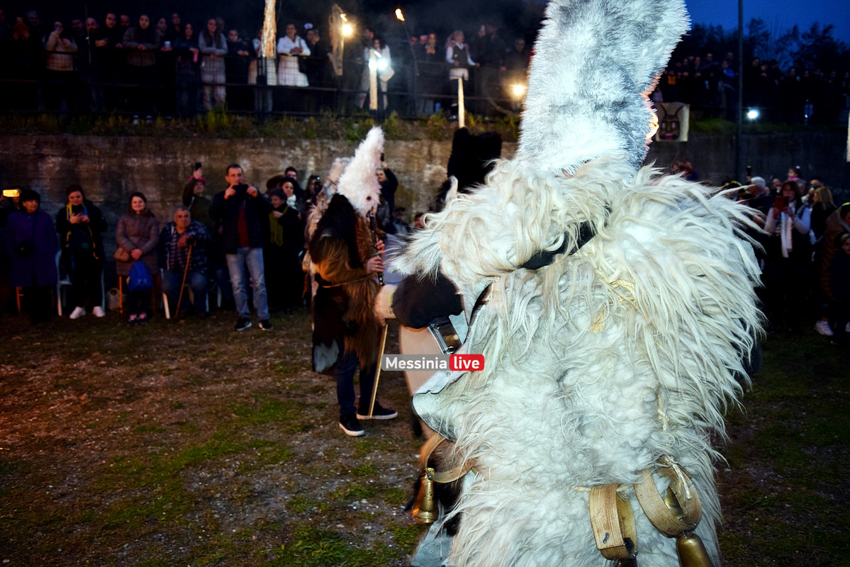 ελαιοχωριDSC_0623