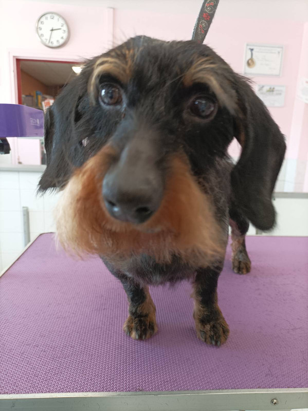 [Image: image000003-28.jpg]