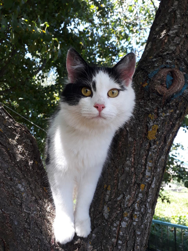 изображение_viber_2019-06-24_14-15-10