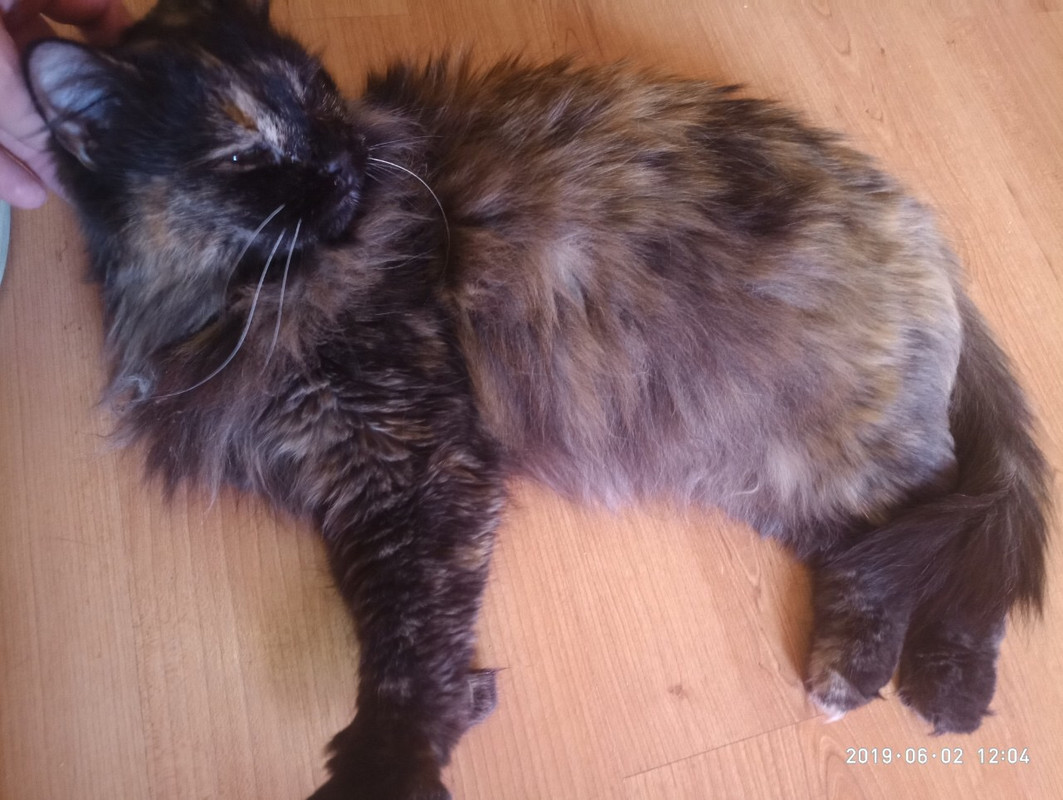 E952AC85-23FD-4FC6-9D01-98AE79993041