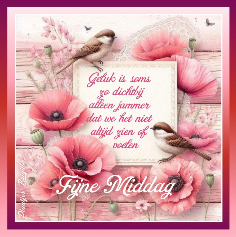 82048bf4a01c9dc663a100340355ddc7