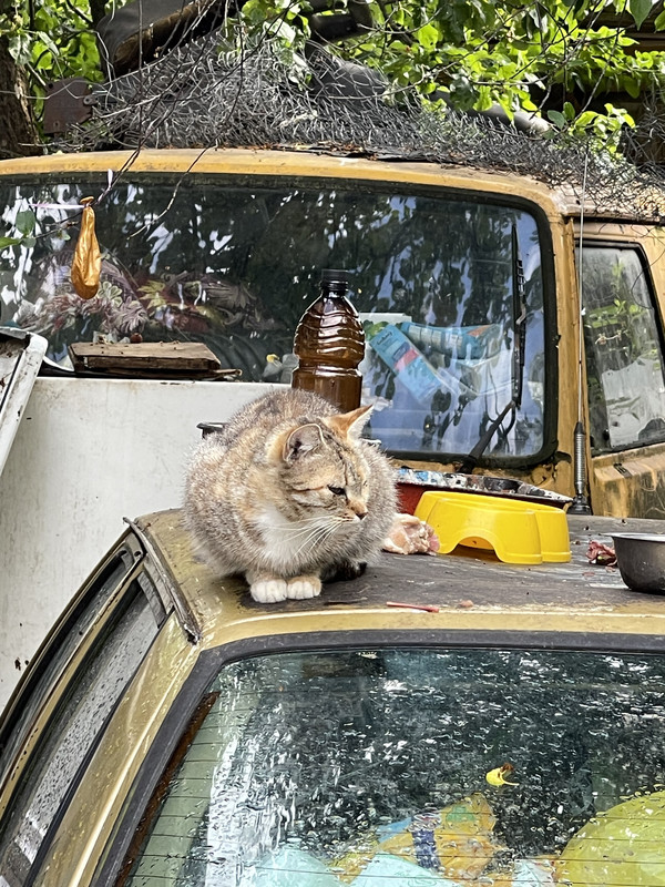 EDBBDB1A-019C-497B-8047-AB5CFAECD470